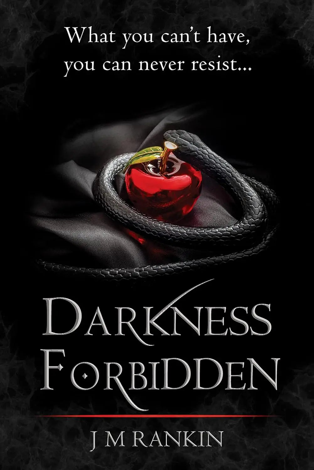 Darkness Forbidden (Book 1 The Dark Intentions Trilogy) By Author J. M. Rankin