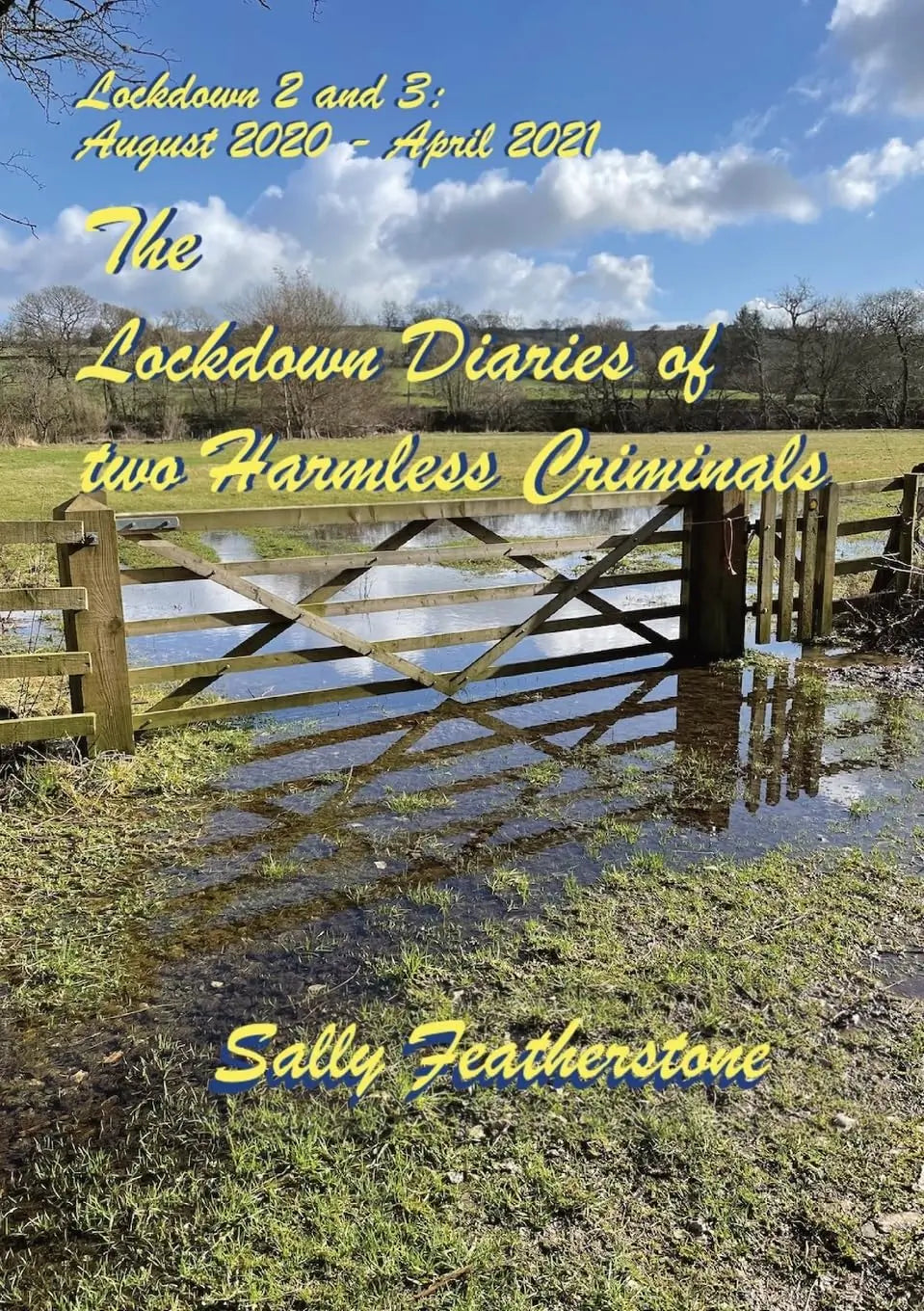 The Lockdown Diaries of Two Harmless Criminals (Volume 2) By Author Sally Featherstone