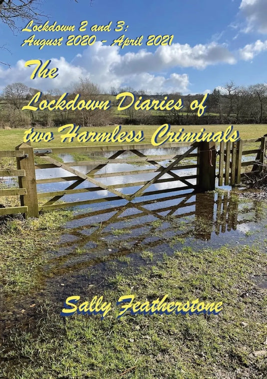 The Lockdown Diaries of Two Harmless Criminals (Volume 2) By Author Sally Featherstone
